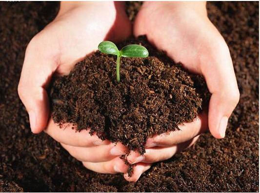 东莞市大松微生物有机肥设备 主营产品: 大型有机肥料设备,有
