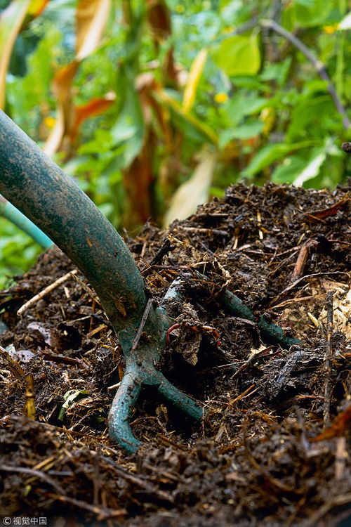 国家秸秆产业联盟丨秸秆有机肥设备应用实例,秸秆原料如何堆肥